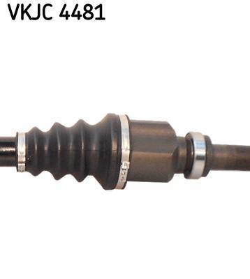 Cardan SKF ref. VKJC 4481